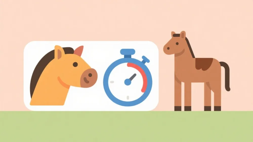 开奖规则与数据说明